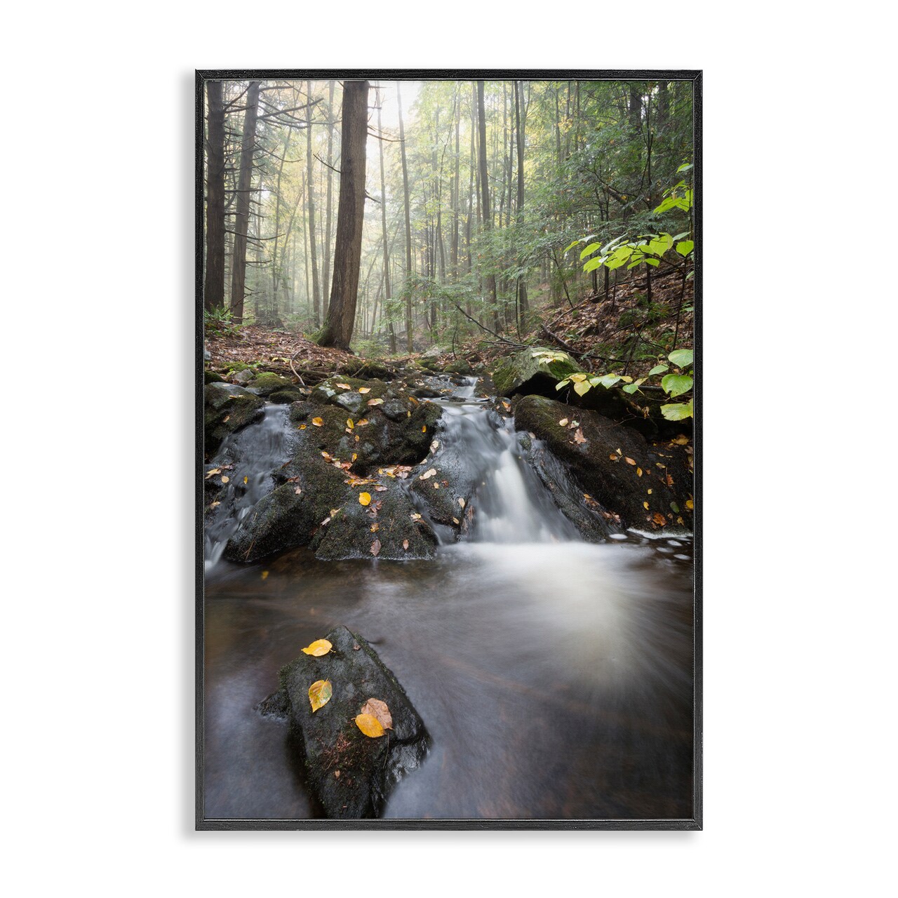 Stupell Industries Misty Stream Adirondacks Framed Giclee, design by James Rodewald